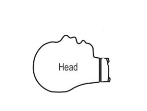 CPR Prompt® Adult/Child Head Assembly