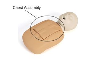 CPR Prompt Tan Coated Infant Chest Assembly